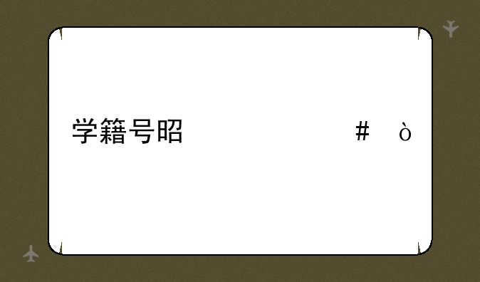 学籍号是什么？