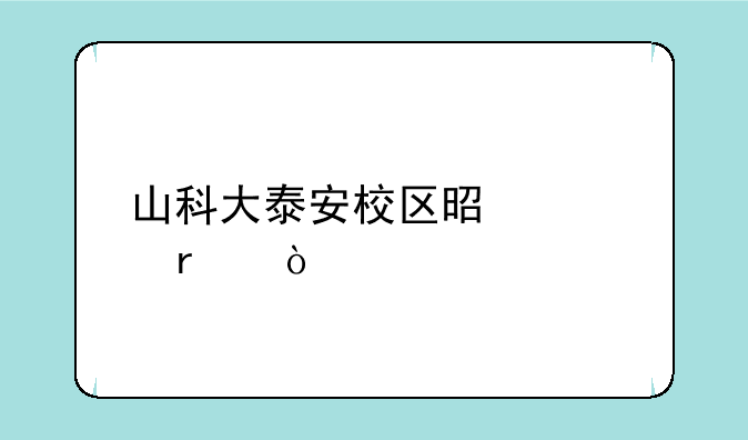 山科大泰安校区是几本？