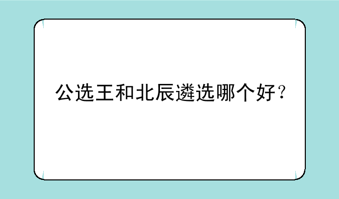 公选王和北辰遴选哪个好？