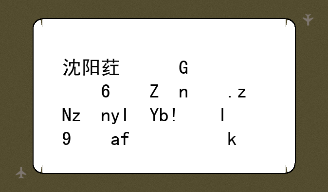 沈阳药科大学药学院研究生分数线是多少？