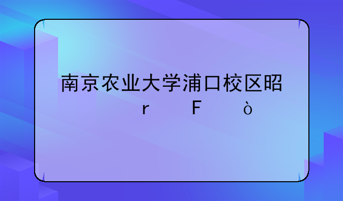 南京农业大学浦口校区是几本呀？
